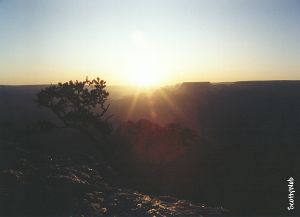 The Grand Canyon