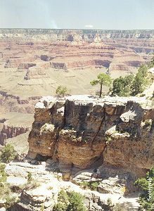 The Grand Canyon