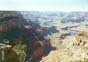 The Grand Canyon