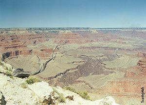 The Grand Canyon
