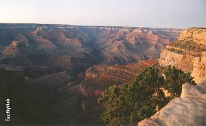 The Grand Canyon