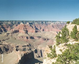 The Grand Canyon