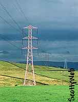 The Pink Pylon