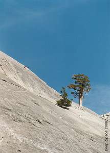 Yosemite