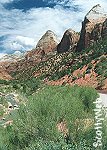 Zion National Park