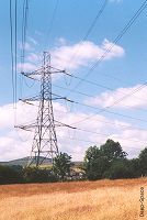 a Pylon