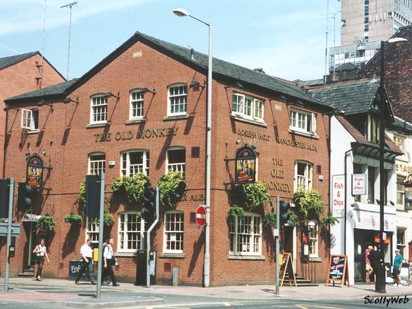 The Old Monkey